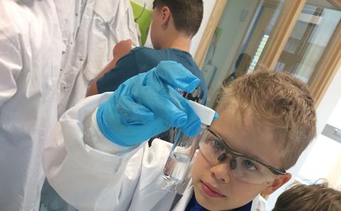 Extracting DNA